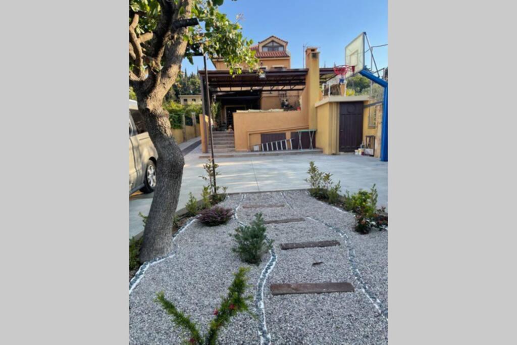 Sentoyki Village Home - Μονοκατοικια Σε Θαλασσα Melíssion Exteriör bild